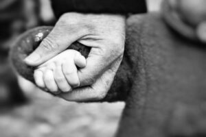 establish paternity in florida