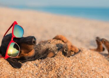 Planning Summer Vacations Under Florida’s New Parenting-Plan Rules (2025 Update)